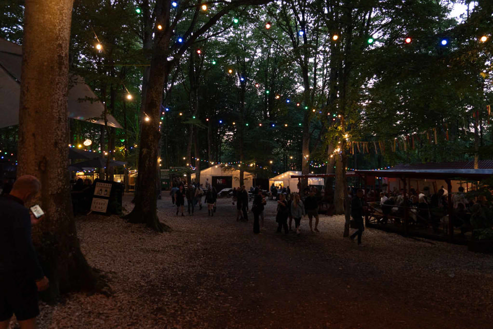 Lyskæde 50 meter til hegn - LED og lyskæder