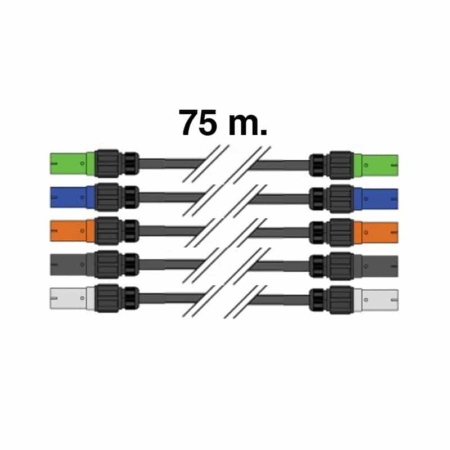 57066